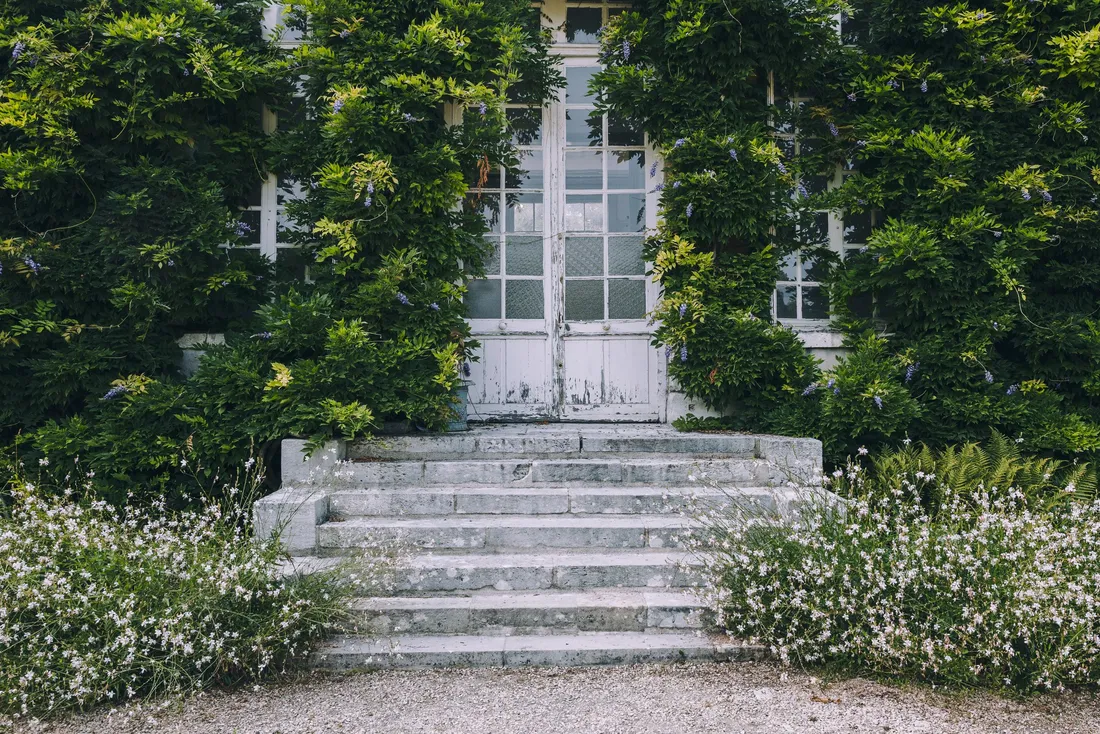 Perron en pierre devant une porte-fenêtre couverte de vigne